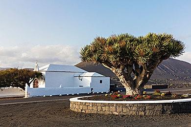 任天堂新直面会公布 明晚10点开始时长20分钟